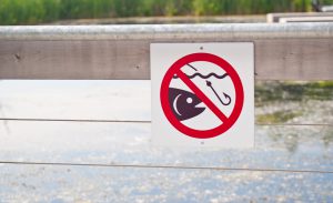 No Fishing